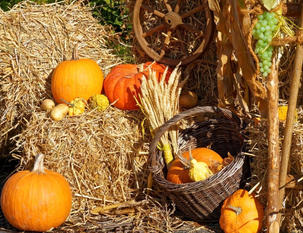 Pumpkins in brown wicker basket and other pumpkins of different sizes on bales of hay.  Some of the things I absolutely love about Fall.