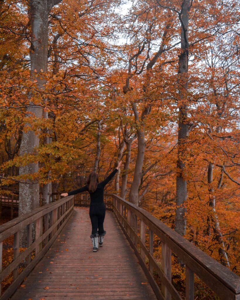 Back of woman in black outfit and winter boots walking on a wooden bridge amongst fall trees