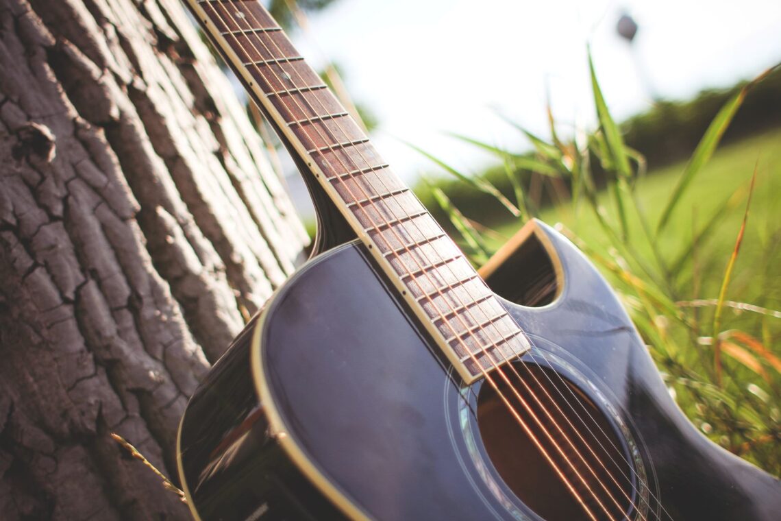 Guitar leaning against a tree in a field