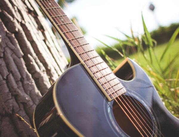 Guitar leaning against a tree in a field