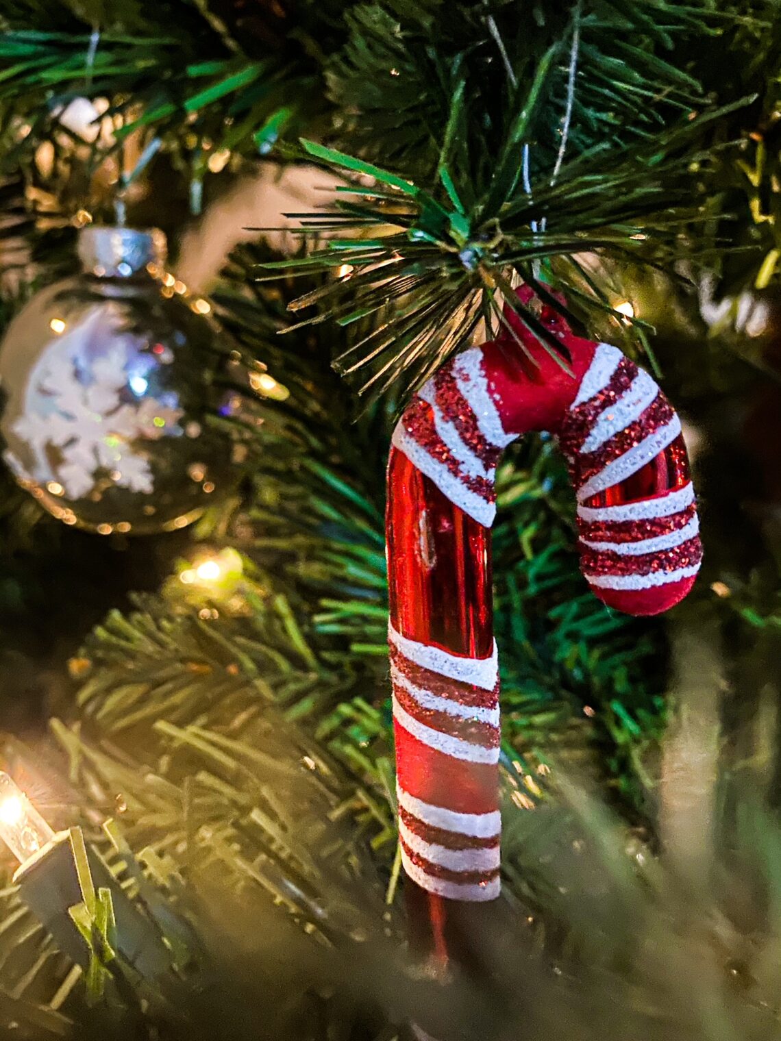 candy cane decoration hanging on Christmas tree