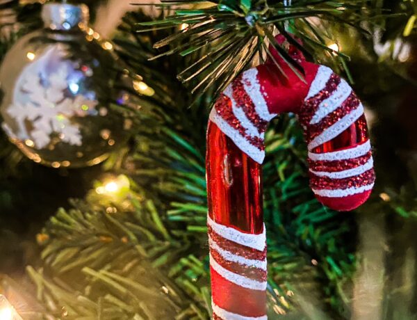 candy cane decoration hanging on Christmas tree