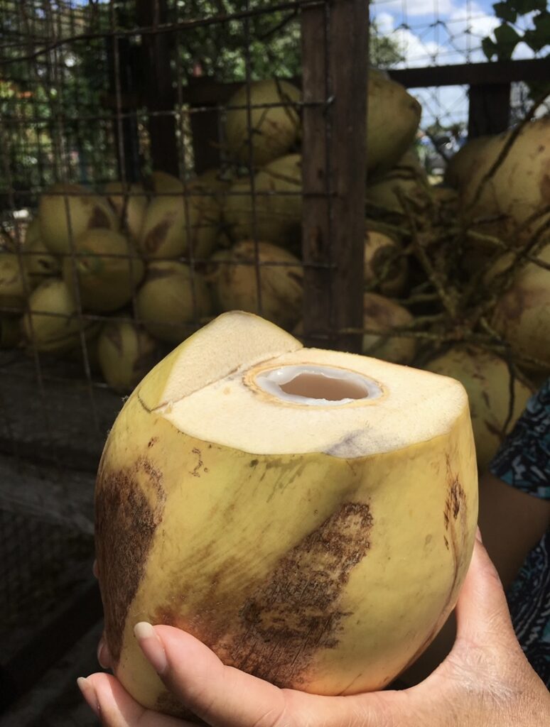 A coconut cut at the top for drinking the coconut water.