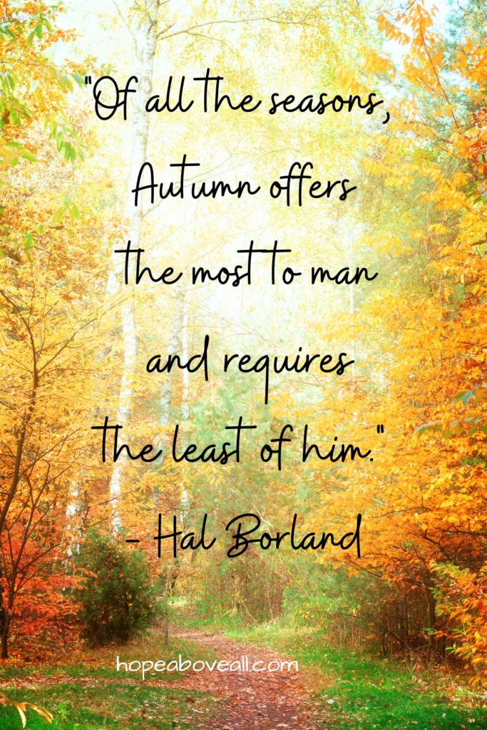 Fall season in a forest. One of several beautiful Fall quotes is written on image.