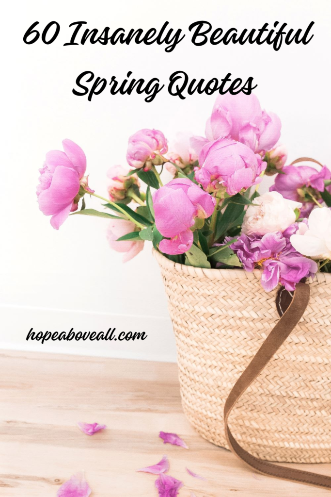 Basket of pink and purple flowers with title of pin: 60 Insanely Beautiful Spring Quotes at the top