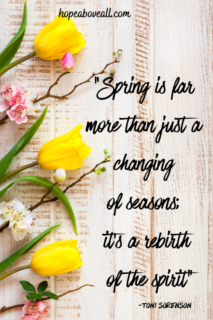 Colorful Spring flowers with quote to the right