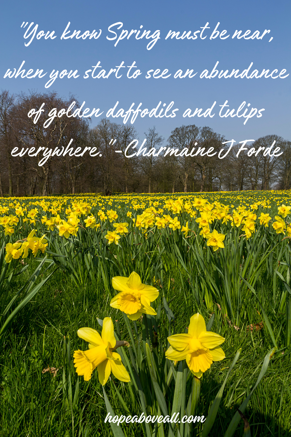 60 Insanely Beautiful Spring Quotes | Hope Above All
