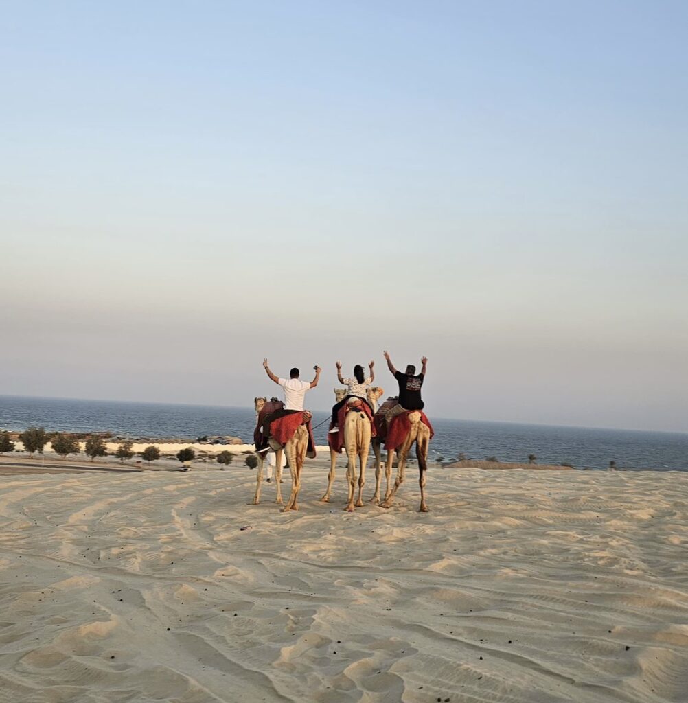 Camel ride at sunset